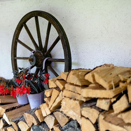 Ferienwohnung Duffner Schonach im Schwarzwald Exterior photo